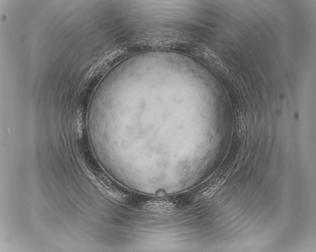 X0000058800644200510211840