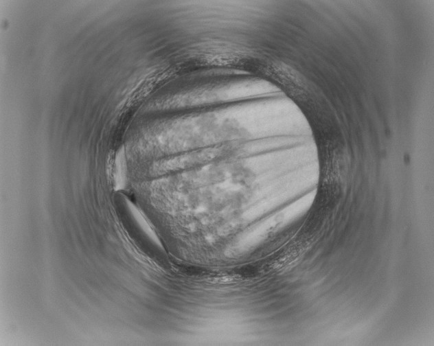 X0000058800646200510211840