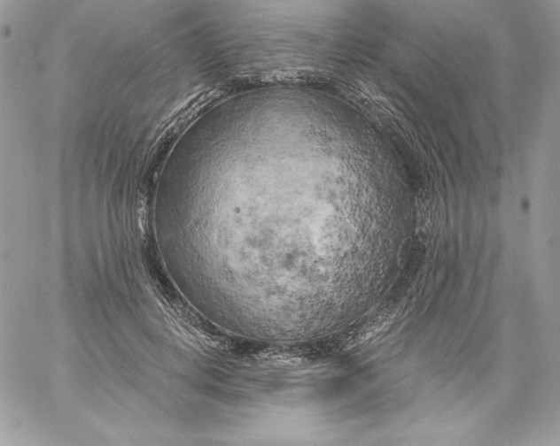 X0000058800648200510211840
