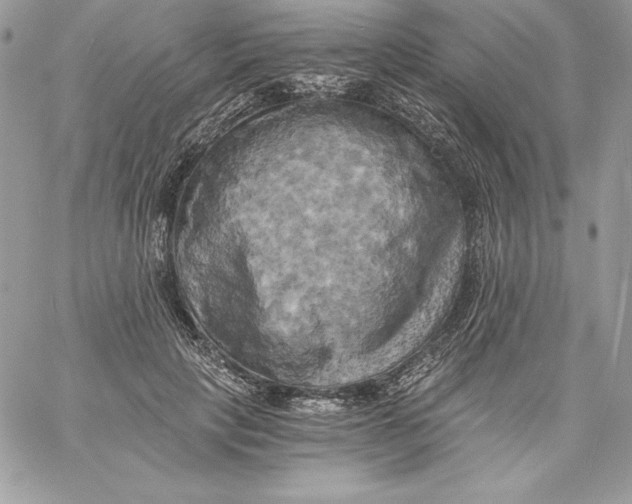 X0000058800649200510211840