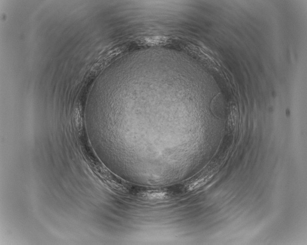 X0000058800651200510211840