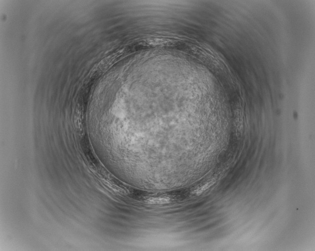X0000058800653200510211840