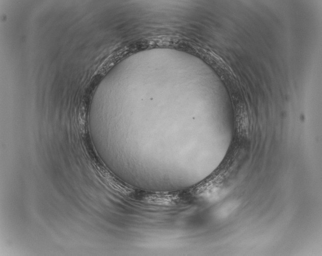 X0000058800661200510211840