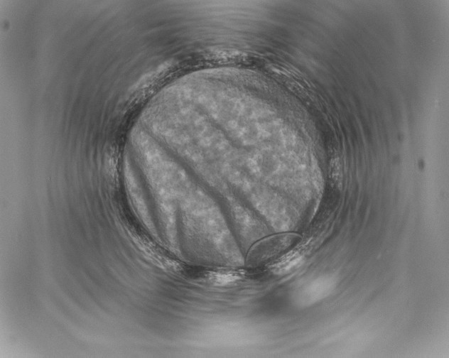 X0000058800662200510211840