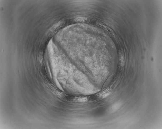 X0000058800665200510211840