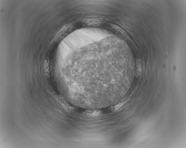 X0000058800667200510211840