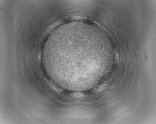X0000058800668200510211840