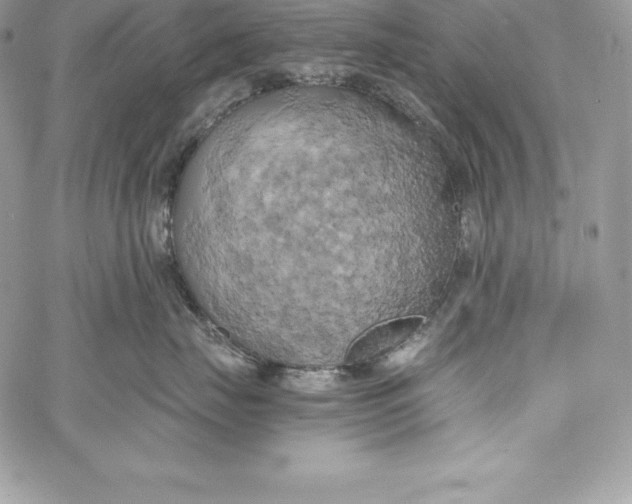 X0000058800671200510211840