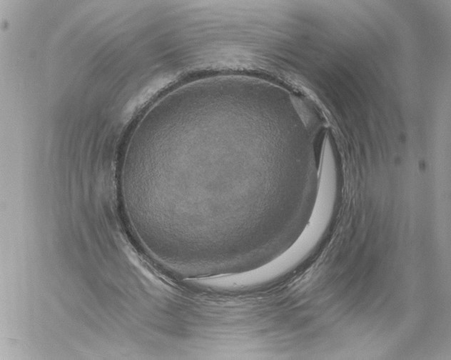 X0000058800677200510211840