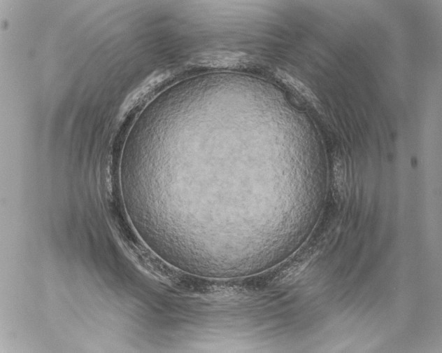 X0000058800682200510211839