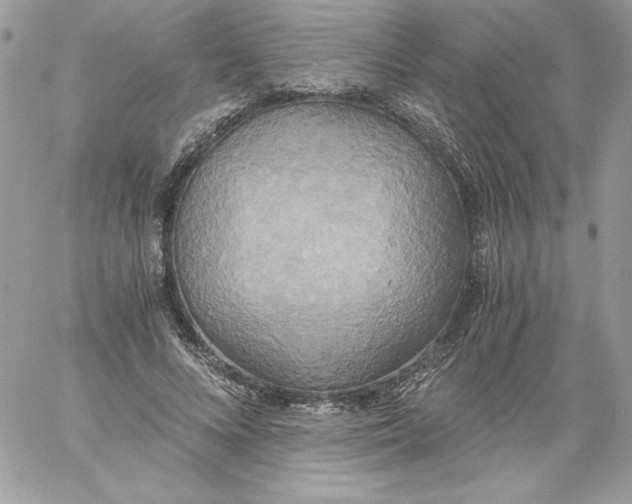 X0000058800688200510211839
