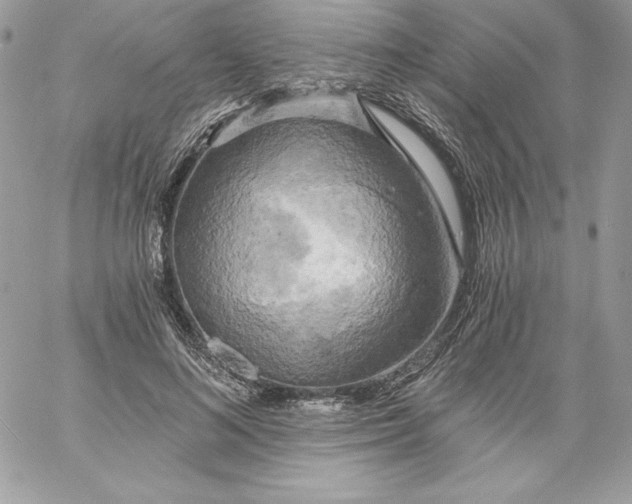 X0000058800692200510211839