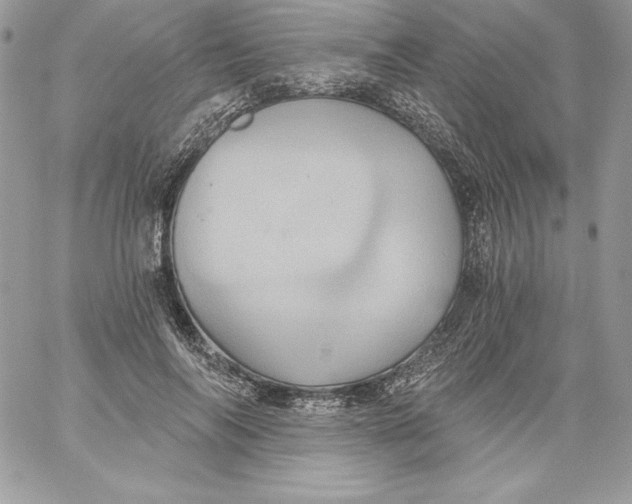 X0000058800694200510211839