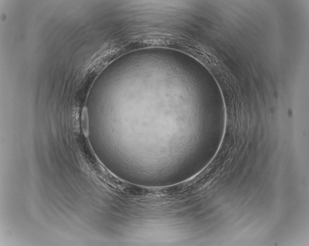 X0000058800696200510211839