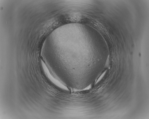 X0000058800697200510211839