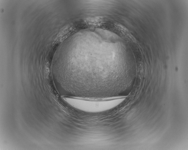 X0000058800707200510211839