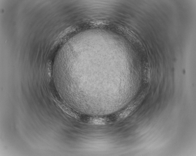 X0000058800710200510211839