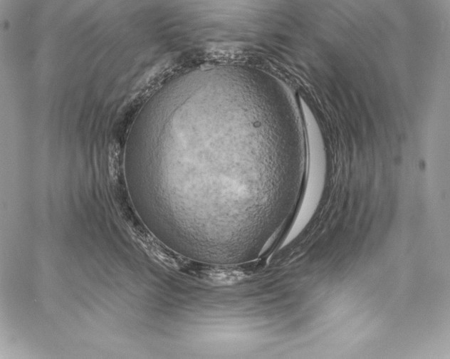 X0000058800712200510211839