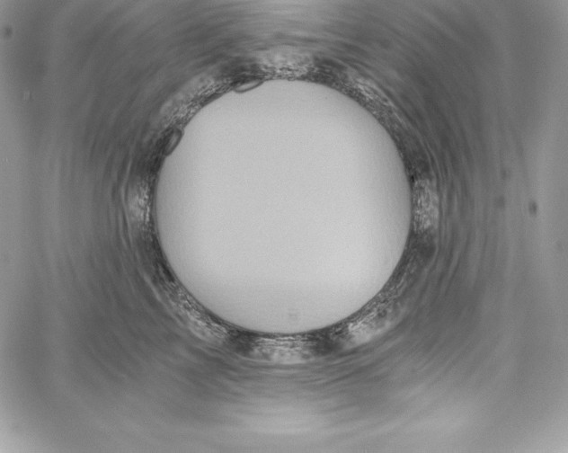 X0000058800713200510211839