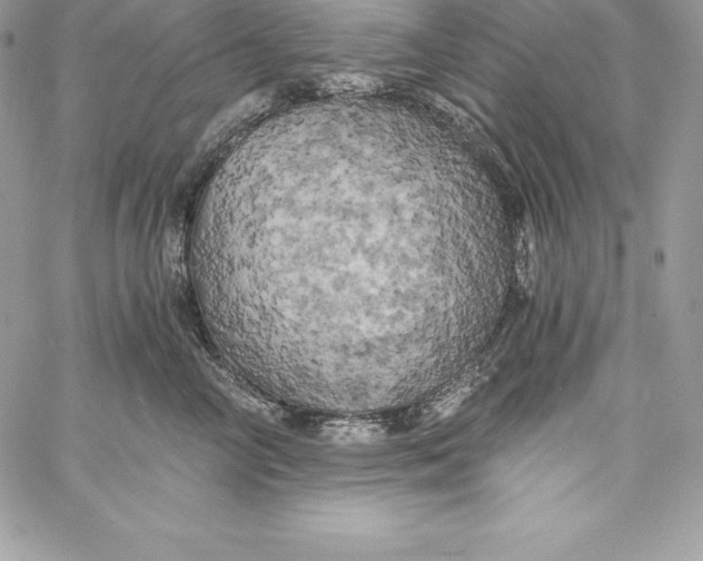 X0000058800714200510211839