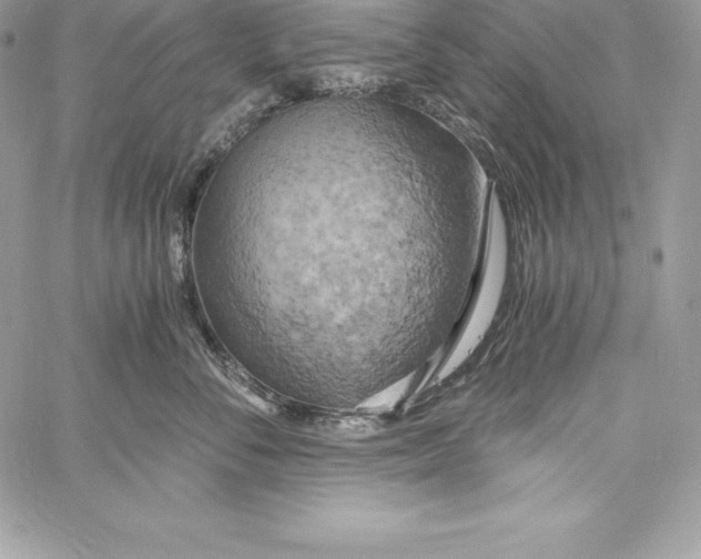 X0000058800716200510211839