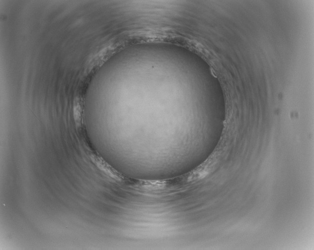 X0000058800720200510211839