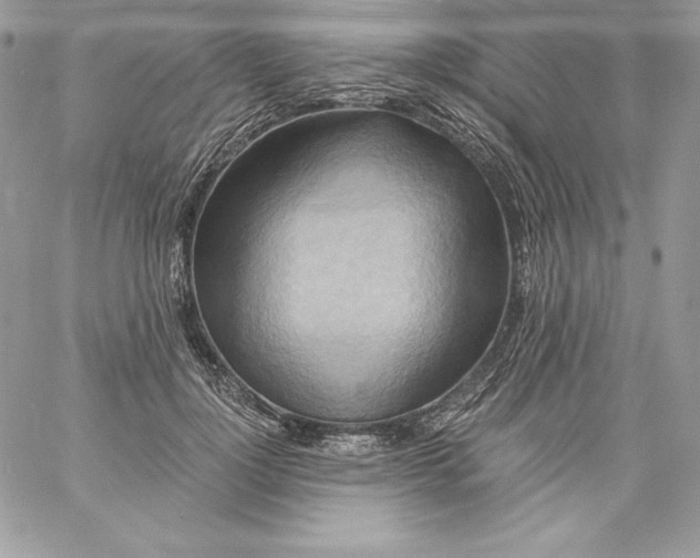 X0000058800748200510211838