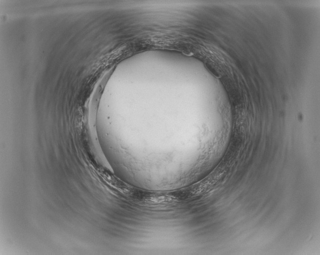 X0000058800752200510211839
