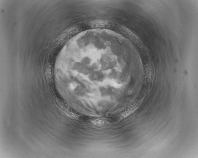 X0000058800761200510211839