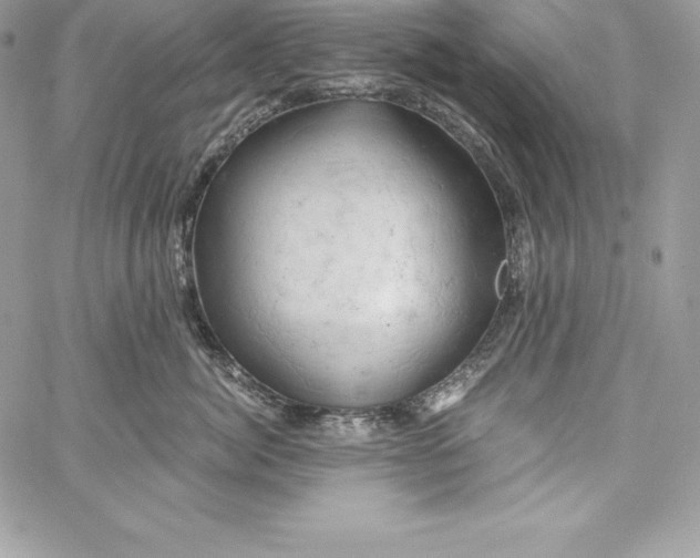X0000058800764200510211839