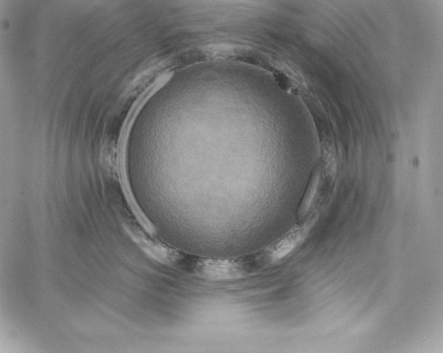 X0000058800766200510211839