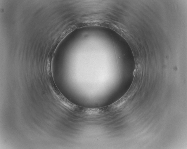 X0000058800767200510211839