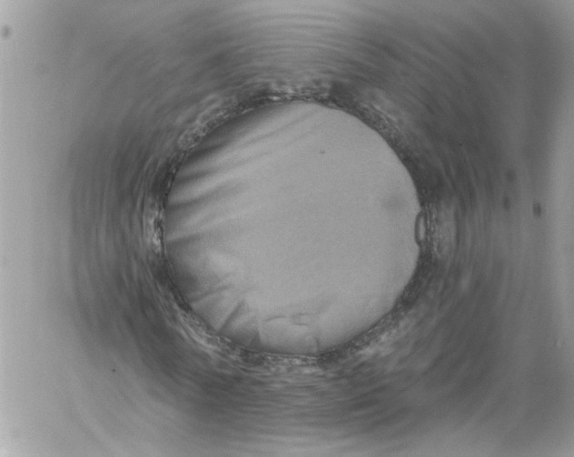X0000058800770200510211838
