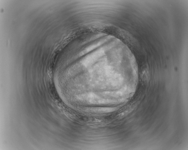 X0000058800772200510211838