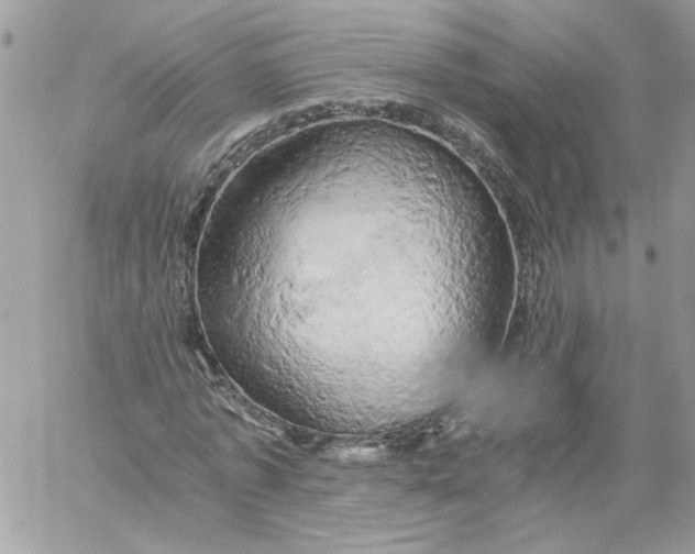 X0000058800773200510211838