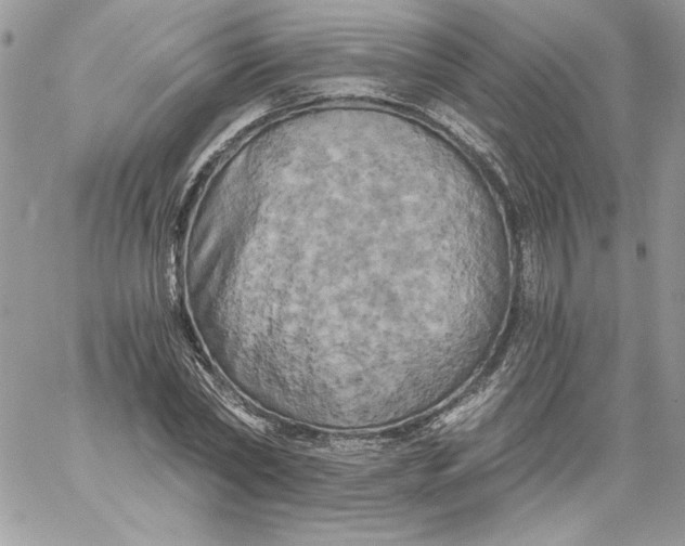 X0000058800782200510211838