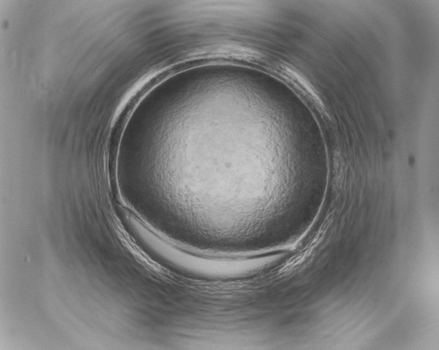 X0000058800788200510211838