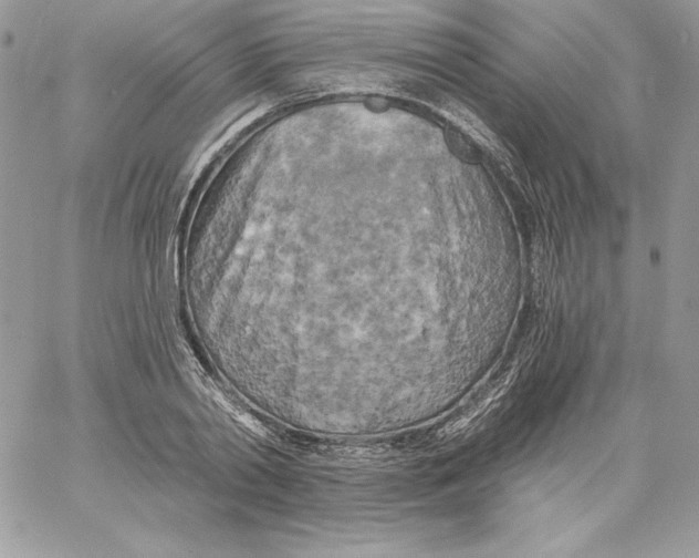 X0000058800790200510211838