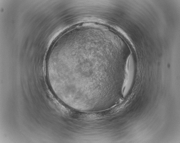 X0000058800791200510211838