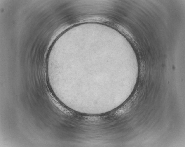 X0000058800800200510211838