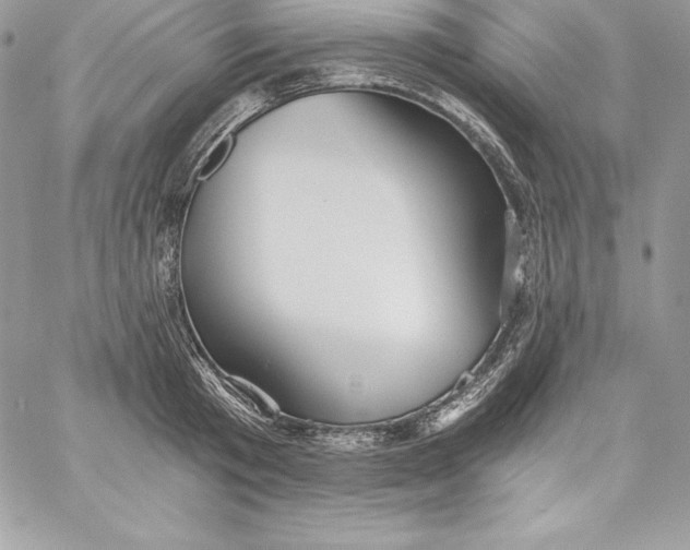 X0000058800801200510211837