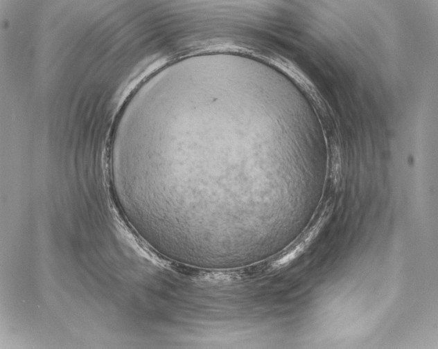 X0000058800806200510211837