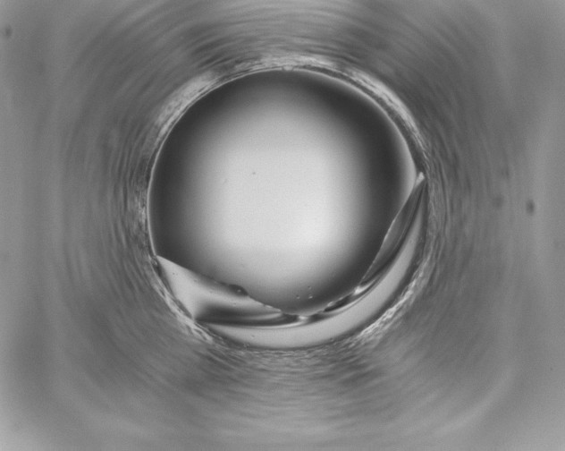 X0000058800809200510211837