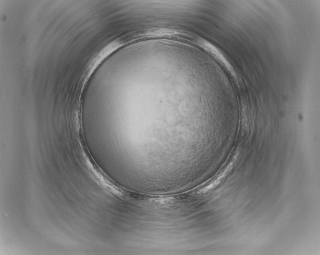 X0000058800810200510211837