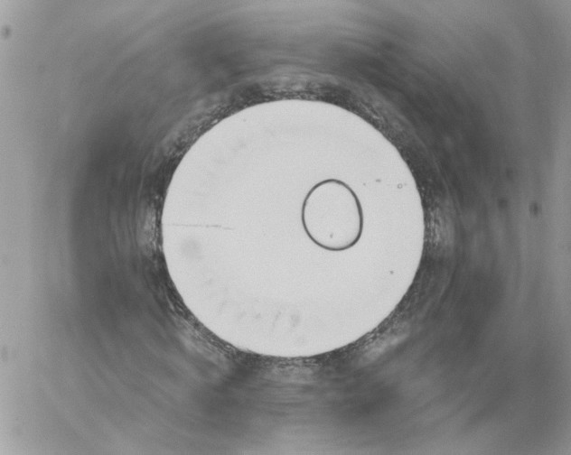 X0000058800820200510211837