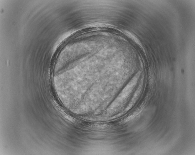 X0000058800831200510211837