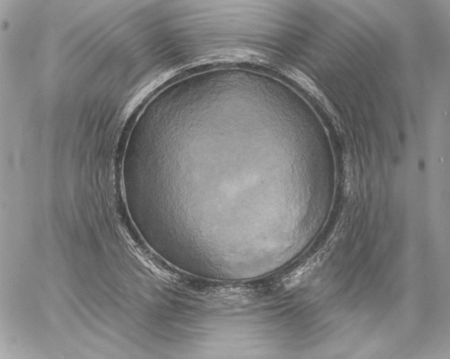 X0000058800834200510211837