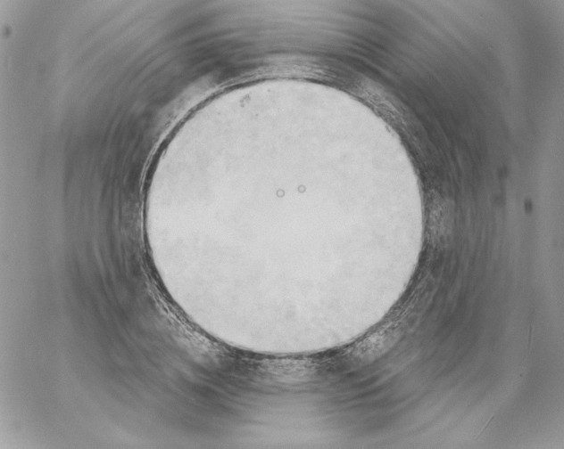 X0000058800836200510211837