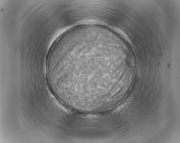 X0000058800839200510211837