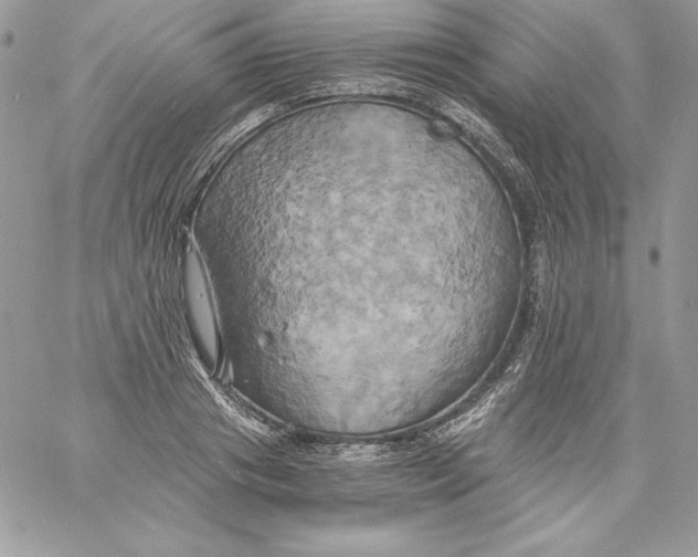 X0000058800841200510211837